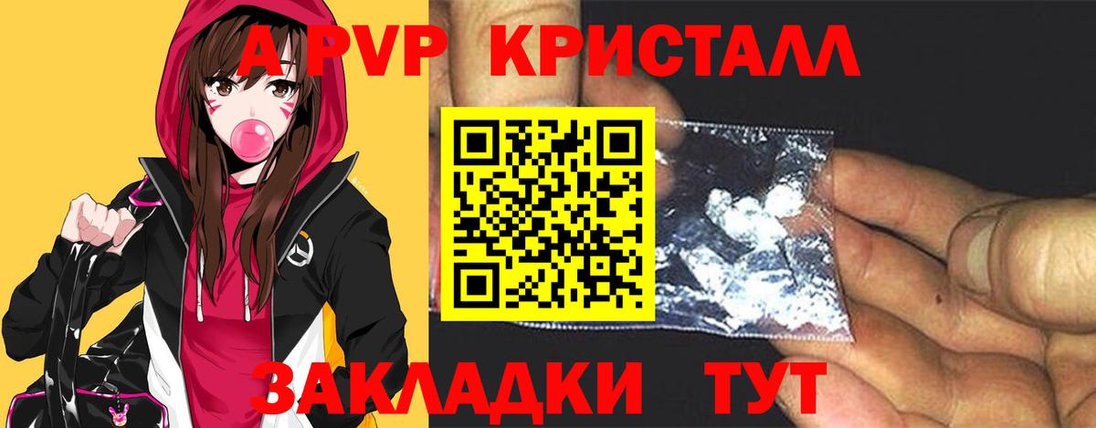 A PVP СК Электросталь