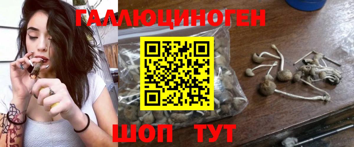 Alpha-PVP СОЛЬ кристаллы  Электросталь  COCAIN  МЕФ   Гашиш  Вход с VPN 