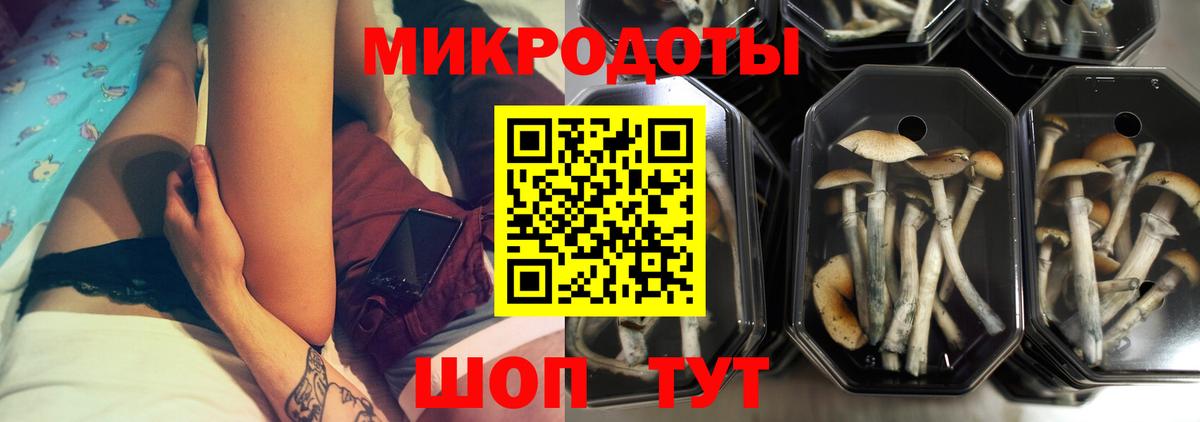 Электросталь  Галлюциногенные грибы Cubensis  Вход с VPN 